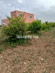 Ferm 8 hectares à vendre région rhamna - 3