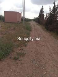 Ferm 8 hectares à vendre région rhamna - 6