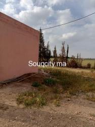 Ferm 8 hectares à vendre région rhamna - 7