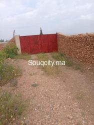 Ferm 8 hectares à vendre région rhamna - 8