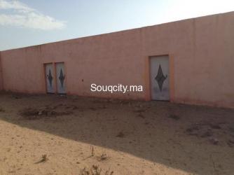 Ferme 4 hectares à vendre à ait amira - 2