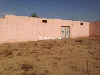 Ferme 4 hectares à vendre à ait amira - 4