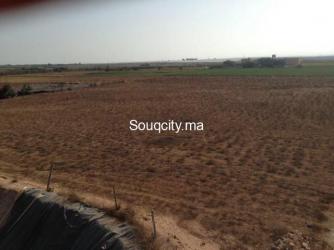 Ferme 4 hectares à vendre à ait amira - 6