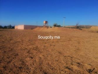 Ferme 4 hectares à vendre à ait amira - 7