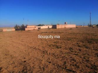 Ferme 4 hectares à vendre à ait amira - 8