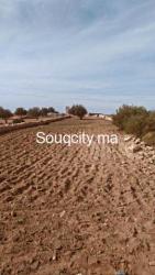 TERRAIN A VENDRE - 2