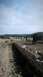 TERRAIN A VENDRE - 3