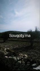 TERRAIN A VENDRE - 4