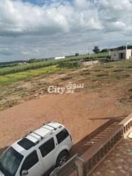 فيرمة للبيع نواحي سطات - 5