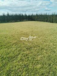 فيرمة للبيع نواحي سطات - 7