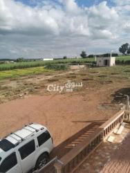 فيرمة للبيع نواحي سطات - 8