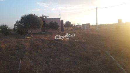 ارض فلاحية للبيع في عين جوهرة تيفلت - 3