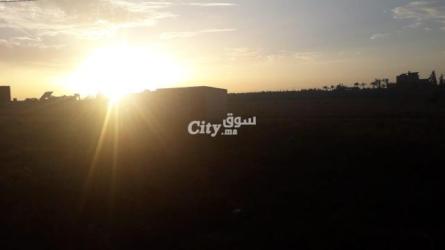 ارض فلاحية للبيع في عين جوهرة تيفلت - 4