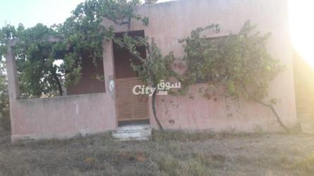 ارض فلاحية للبيع في عين جوهرة تيفلت - 5