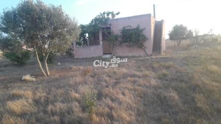 ارض فلاحية للبيع في عين جوهرة تيفلت - 6