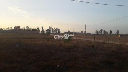 ارض فلاحية للبيع في عين جوهرة تيفلت - 7