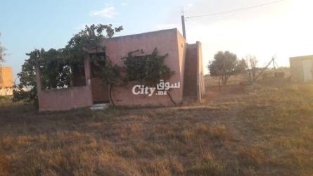 ارض فلاحية للبيع في عين جوهرة تيفلت - 8