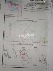 Vendre une ferme avec station de conditionnement à côté - 2