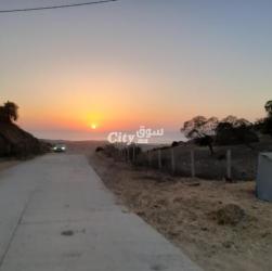 أرض للبيع sidi mghayit - 4