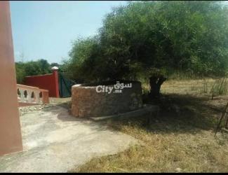 Firma de 4000 m² Titre à vendre à Ezemmour - 3