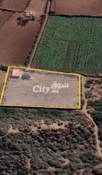 Firma de 4000 m² Titre à vendre à Ezemmour - 5