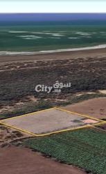 Firma de 4000 m² Titre à vendre à Ezemmour - 6