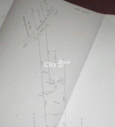 للبيع أرض فلاحية تيتري 5000 متر - 2