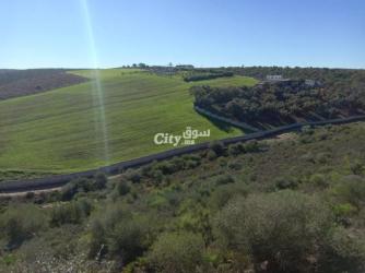 ضيعة فلاحية مساحتها 16 هكتار محفضة ومجهزة بالكامل للبيع - 3