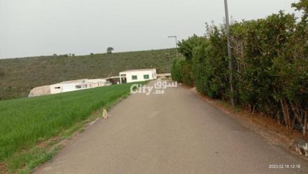 ضيعة فلاحية مساحتها 16 هكتار محفضة ومجهزة بالكامل للبيع - 5