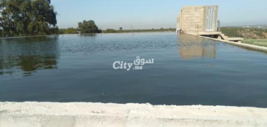 ضيعة فلاحية مساحتها 16 هكتار محفضة ومجهزة بالكامل للبيع - 6