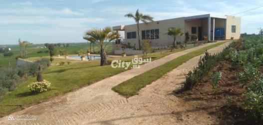 ضيعة فلاحية مساحتها 16 هكتار محفضة ومجهزة بالكامل للبيع - 7