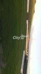 Terrain à vendre à Tanger - 3