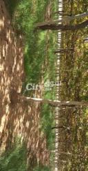 ارض للبيع 16 هكتار تقريبا - 4