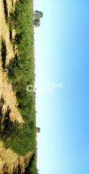 ارض للبيع 16 هكتار تقريبا - 9