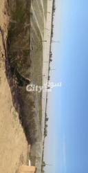 ارض فلاحية للبيع - 7