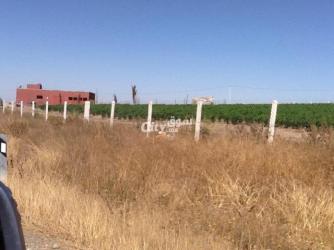 Ferme agricole moderne avec un potentiel immense - 5