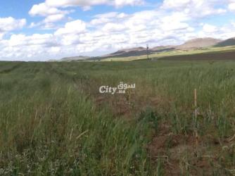 Ferme agricole moderne avec un potentiel immense - 6