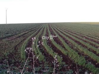 Ferme agricole moderne avec un potentiel immense - 7