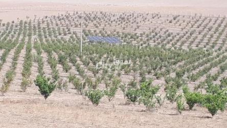 Ferme agricole moderne avec un potentiel immense - 10