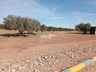 Al-Faqih Ben Saleh vers Beni Mellal - 3