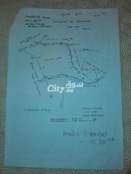 Ferme de 20 Hectares - 2