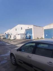 A vendre local de 3 hangars - 7