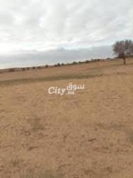 أرض سياحية للبيع - 3