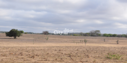 أرض سياحية للبيع - 4