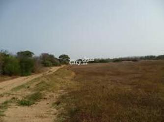 أرض سياحية للبيع - 5