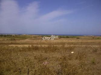 أرض سياحية للبيع - 6