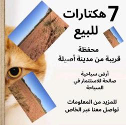 أرض سياحية للبيع - 7