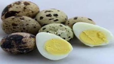 بيض السمان - 2