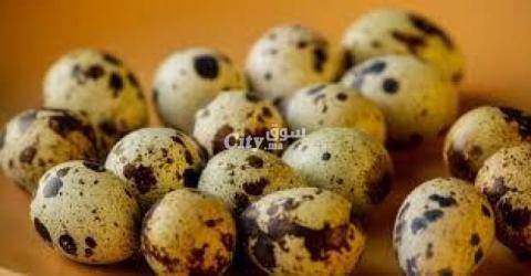 بيض السمان - 3