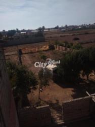 تن علي منصور سيدي بيبي - 6